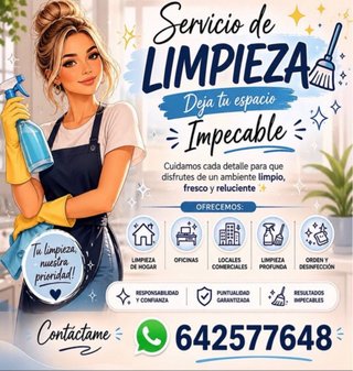 Profesional de limpieza