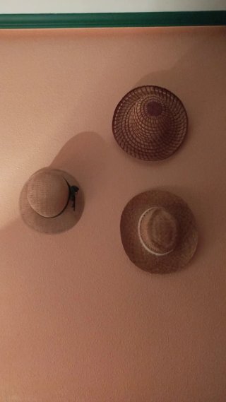 Lote 3 Sombreros Verano