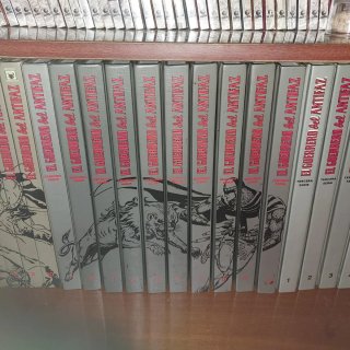 EL GUERRERO DEL ANTIFAZ completa 3 series.
