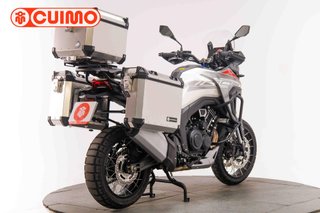 MORBIDELLI T1002 VX