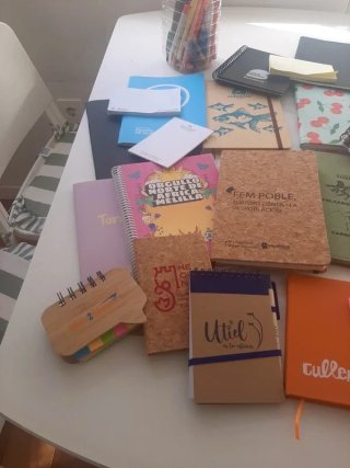 Lote de blocs de notas, cuadernos y post-its