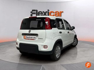 Fiat Panda City Life Hybrid 1.0 Gse 51kw (70CV)