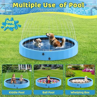 RAXURT Piscina Perros 200cm PVC antideslizante