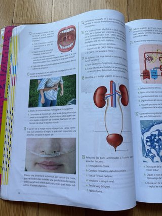 Biologia i Geologia 3, Secundària, Fanfest Baula