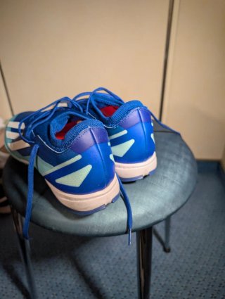 Zapatillas de fútbol Adidas Crazyfast