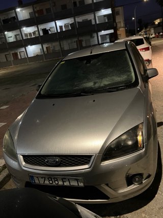 Ford Familiar 2009