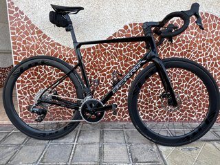 Berria Belador 8.1