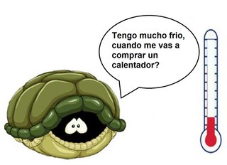 calentador tortuga acuario terrario termostato