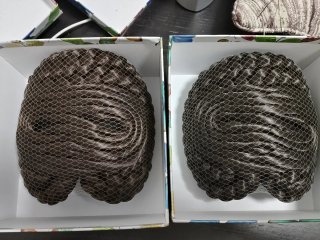 Moños de fallera