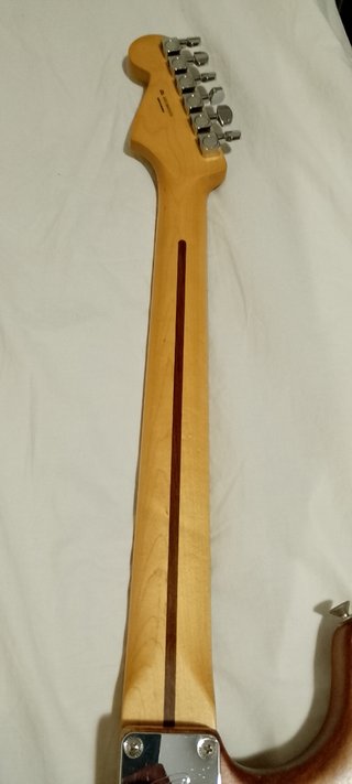 Fender Stratocaster Player Strat
