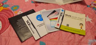 Walk with me! Nintendo DS