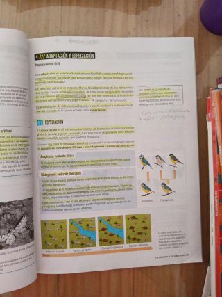 Biología y Geología 4, Secundaria, Fanfest Edel...