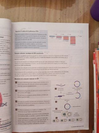 Biología y Geología 4, Secundaria, Fanfest Edel...