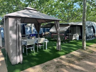 Caravana Ace Premium, Año 2014