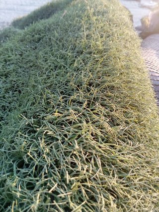 Césped artificial reciclado