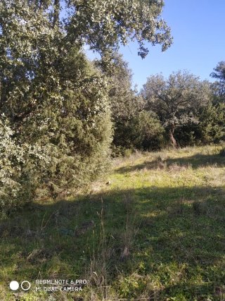 Finca rústica en Nombela (Toledo)