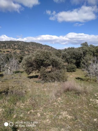 Finca rústica en Nombela (Toledo)