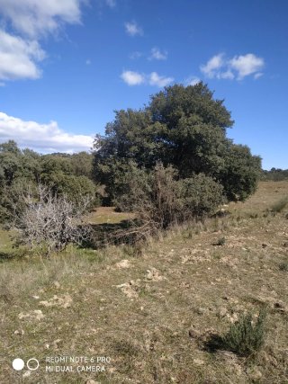 Finca rústica en Nombela (Toledo)