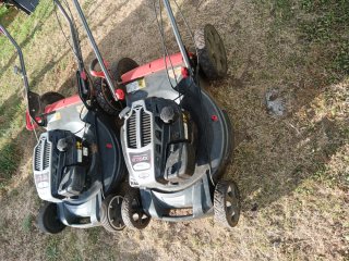 Cortacésped Sterwins 56 cm Briggs & Stratton