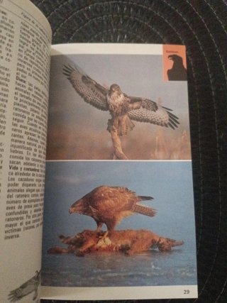 AVES DE NATURALEZA BLUME