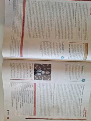 Beatriz Bernal Bachillerato. Lengua castellana