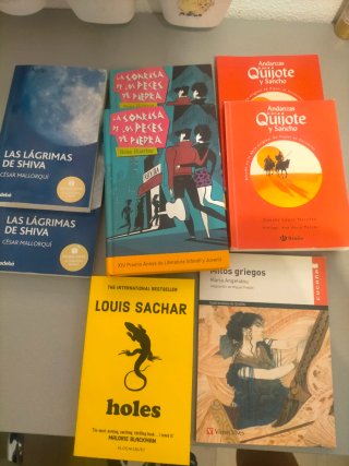Holes. Libros de lectura en ingles