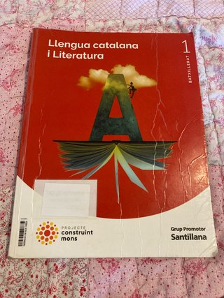 LLENGUA CATALANA I LITERATURA 1 BTX CONSTRUINT ...
