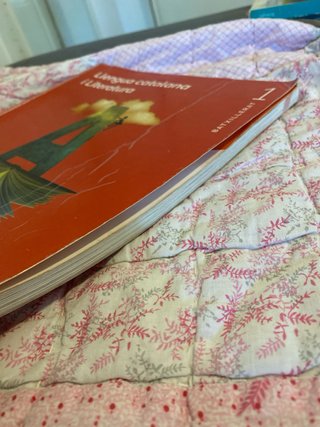 LLENGUA CATALANA I LITERATURA 1 BTX CONSTRUINT ...