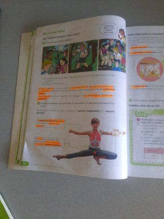 Ciencias da Natureza, 6 Primaria, Revoa Guía do...