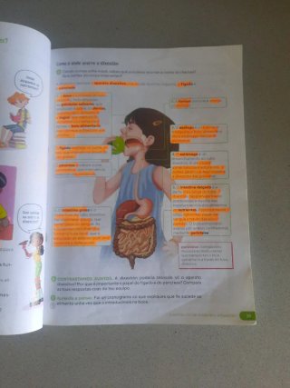 Ciencias da Natureza, 6 Primaria, Revoa Guía do...