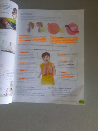 Ciencias da Natureza, 6 Primaria, Revoa Guía do...