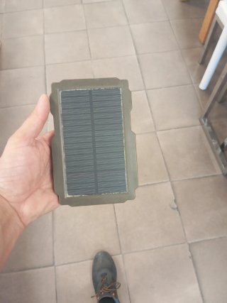 Cámara de caza/vigilancia