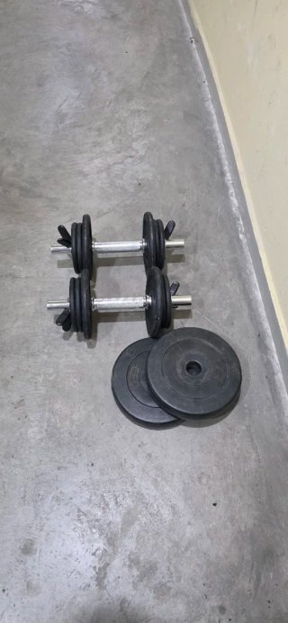Mancuernas ajustables con discos