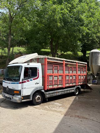 Camión Ganadero