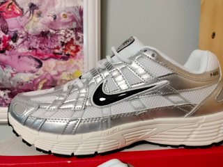 Nike P-6000 Plata y Blanco