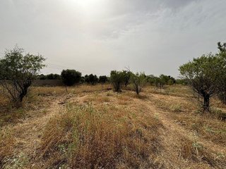 Terreno en venta en Mejorada del Campo