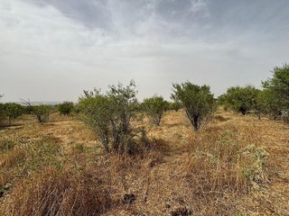 Terreno en venta en Mejorada del Campo