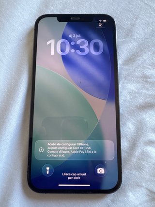 iPhone 12 Pro Max NEGRO 256GB
