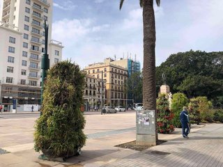 Local comercial en alquiler en Centro Histórico en Málaga
