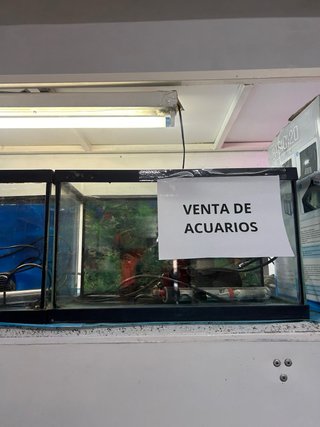 Acuario cristal 40x20cm
