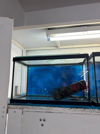Acuario cristal 40x20cm