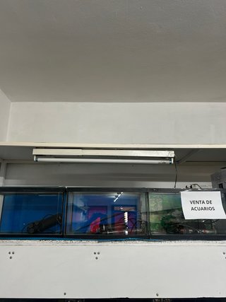 Acuario cristal 40x20cm