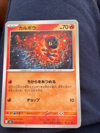Lote cartas Pokémon japonesas brillantes