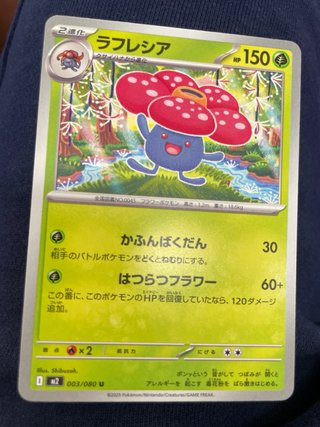 Lote cartas Pokémon japonesas brillantes
