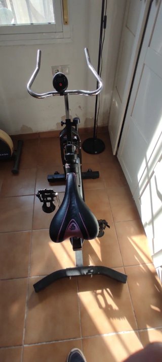 Bicicleta Estática Profesional