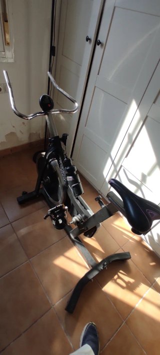 Bicicleta Estática Profesional