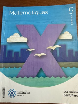 MATEMATIQUES 5 PRIMARIA CONSTRUINT MONS