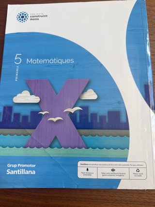 MATEMATIQUES 5 PRIMARIA CONSTRUINT MONS
