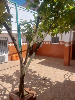 Casa pareada en venta en Zafra