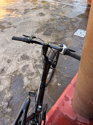 Bicicleta de montaña Treck 220